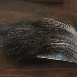 Speckled Moose Body